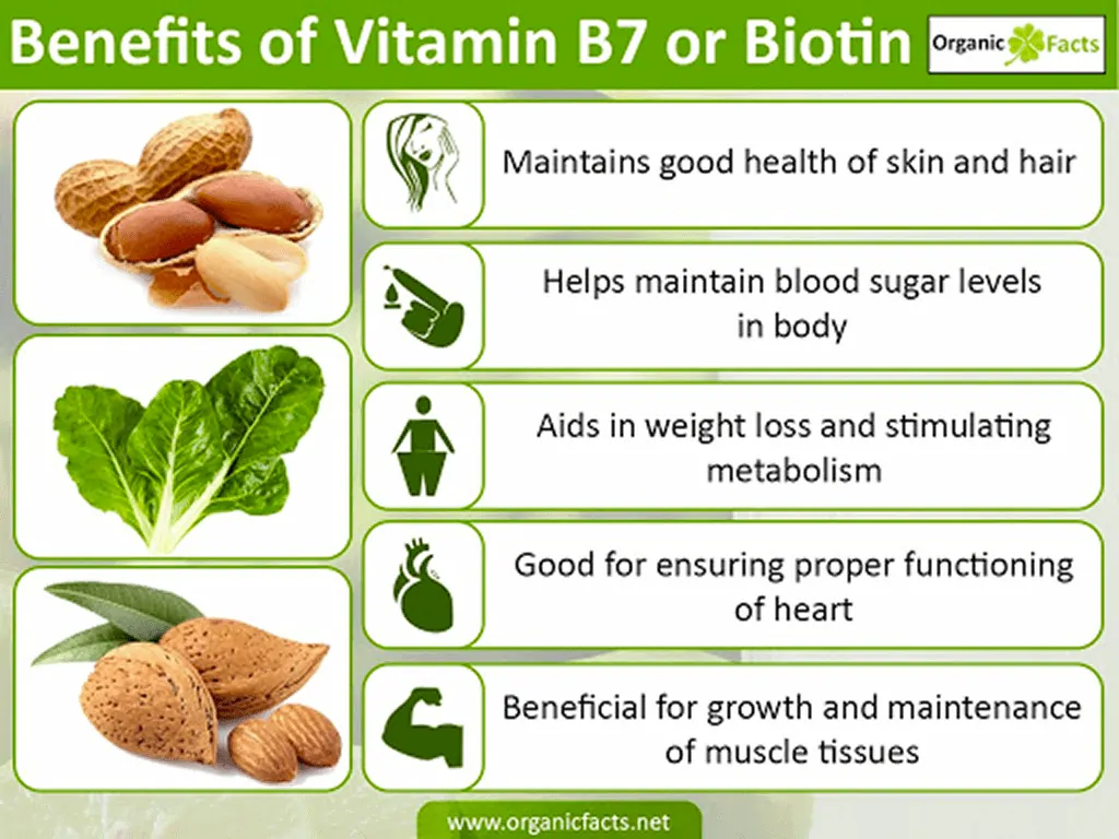 A diagram showing the benefits of taking Biotin also known as vitamin B7