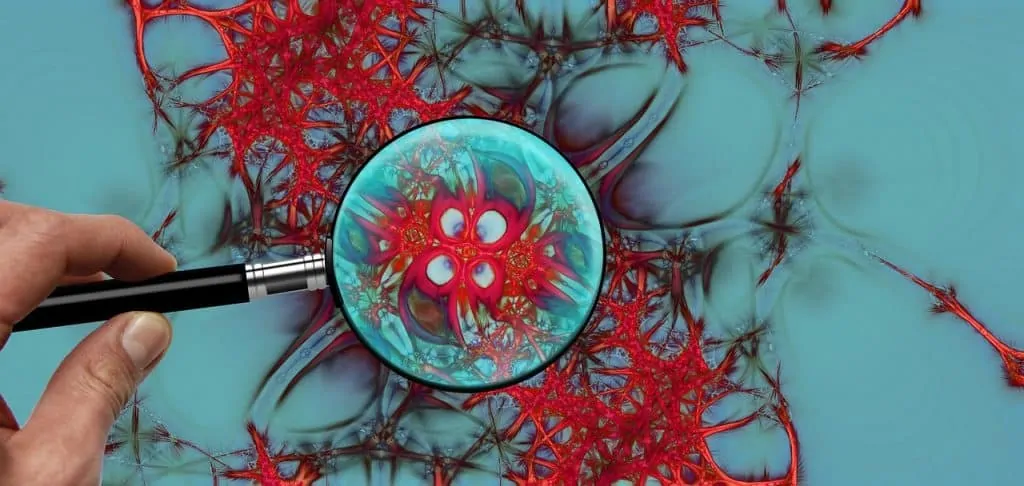 photo of magnifying glass examining drawing of nervous system