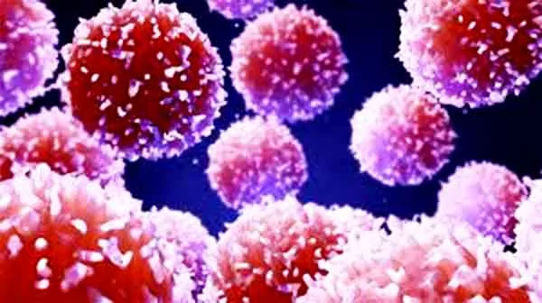 photo of white blood cells under a microscope boosted by vitmin c: keto diet for cancer