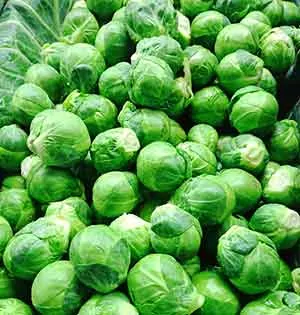 photo of brussels sprouts; keto diet for beginners.