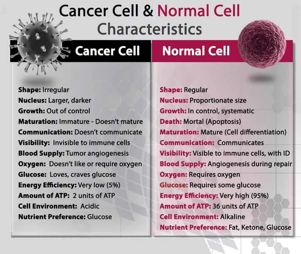 diagram explaining the difference between a normal cell and a cancer cell; keto diet for cancer