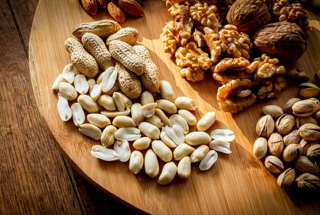 photo of a platter of mixed nuts; COIMBRA PROTOCOL DIET