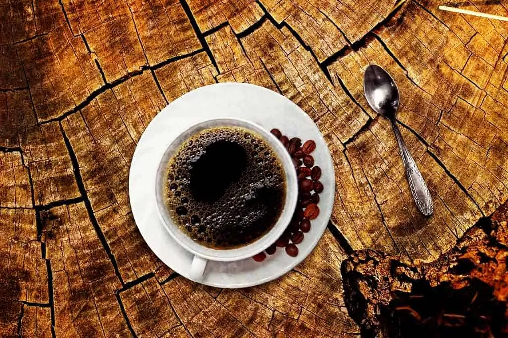 photo of a cup of coffee on a tree trunk