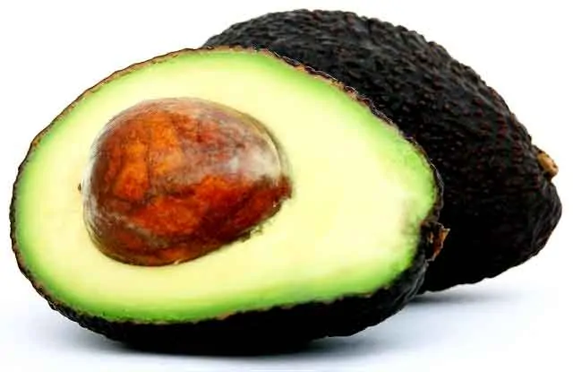 photo of an avocado