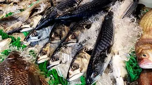 Photo of mackeral:Best fish and seafood on a keto diet