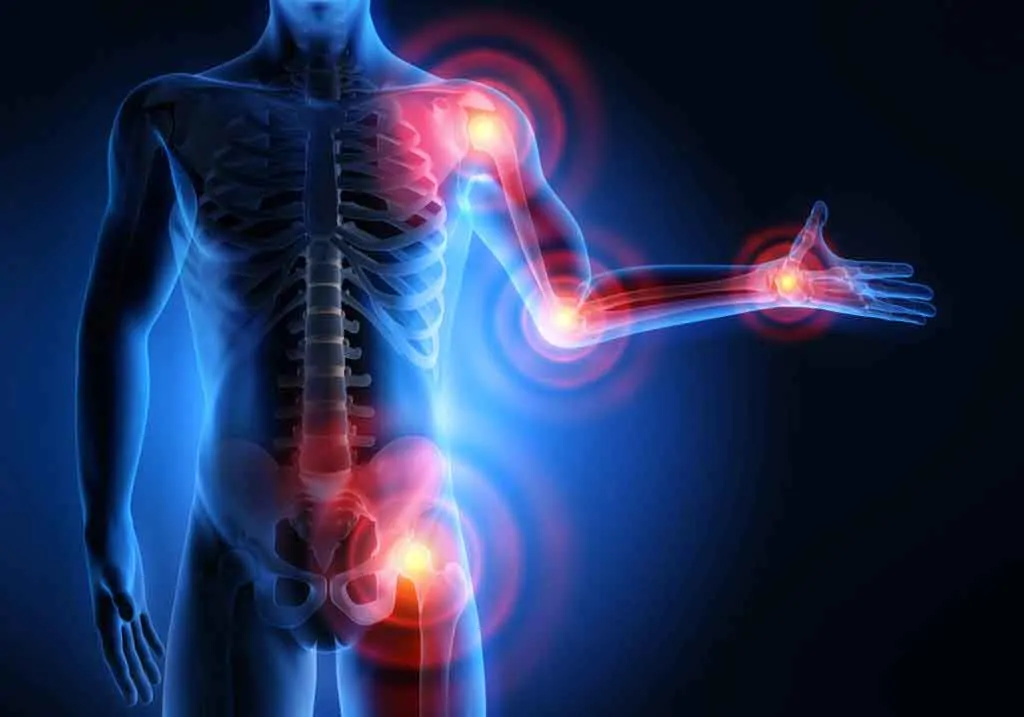 photo of a body with internal organs visable and signs of silent inflammation highlighted in orange and red; Why is a keto diet good for MS?