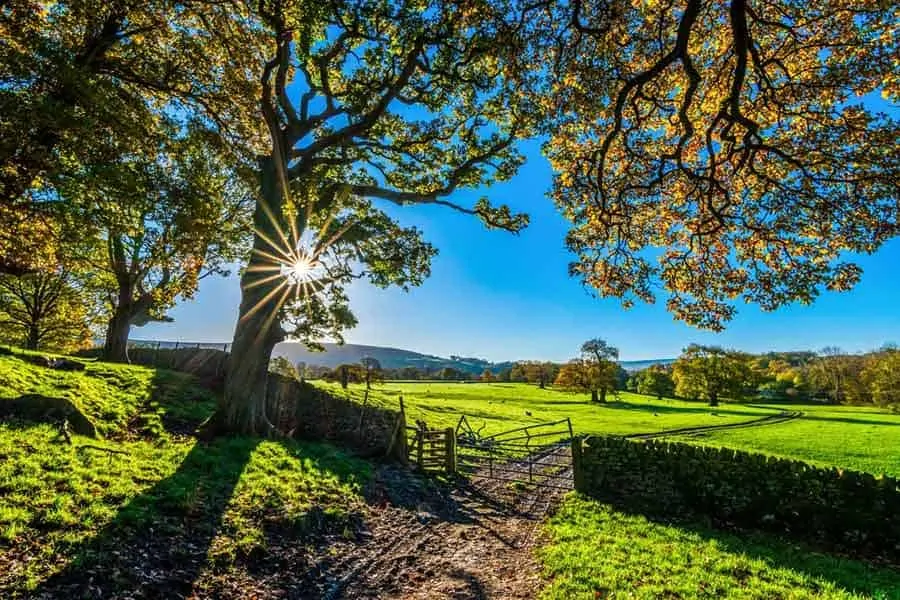 photo of the country side with blue sky and the sun peaking through the trees; Dr Coimbra videos