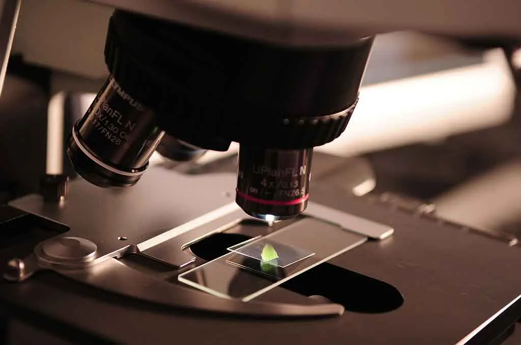 photograph of a microscope which aligns with page subject: origins of Coimbra protocol.