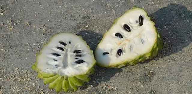 photo of custard apple cut in half to show seeds and flesh inside; Coimbra protocol diet.