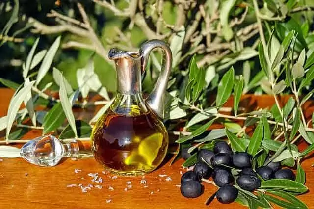 Photo of jar of olive oil with olive leaves and branches which reflects the pages topic - best fats on a keto diet.