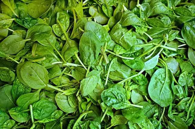 photo of spinach leaves.