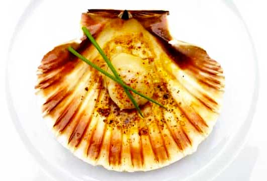 photo of a cooked scallop in a scallop shell with seasoning